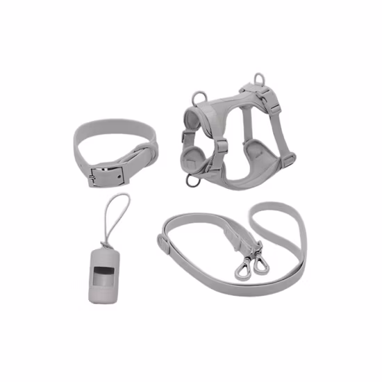 Ensemble d'accessoires pour animaux de compagnie 6 en 1, harnais en néoprène pour chien, impression de motifs personnalisés, collier, nœud papillon, sac à caca, Bandana, laisse