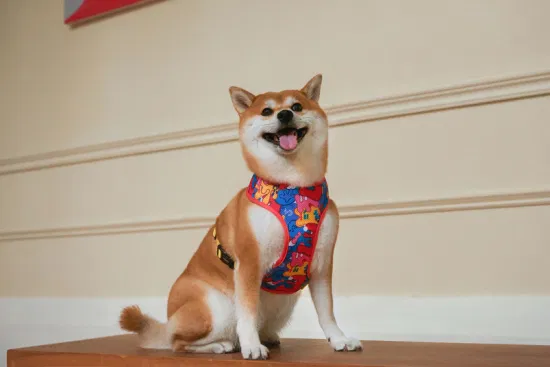 Harnais réfléchissant, respirant, léger et facile à promener pour chien et chat, avec boucle de sécurité, pour chiens et chats de petite, moyenne et grande taille